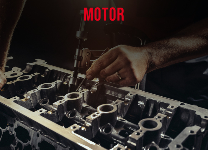 Motor